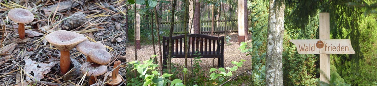Waldfrieden